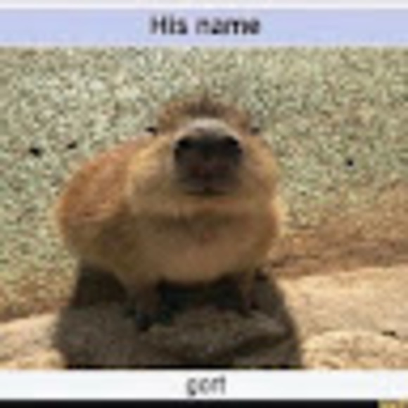 arimonks